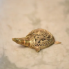 Brass Tortoise Dhokra Art - Image 4